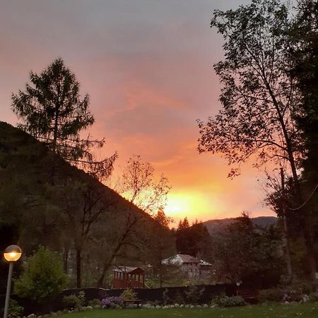 Soggiorno Vacanze Stella Alpina Temù Екстериор снимка